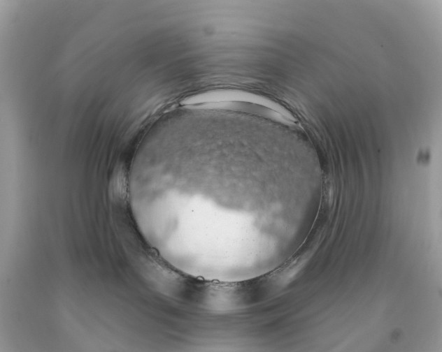 X0000091560143200709141543