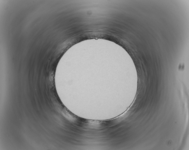 X0000091560144200709141543