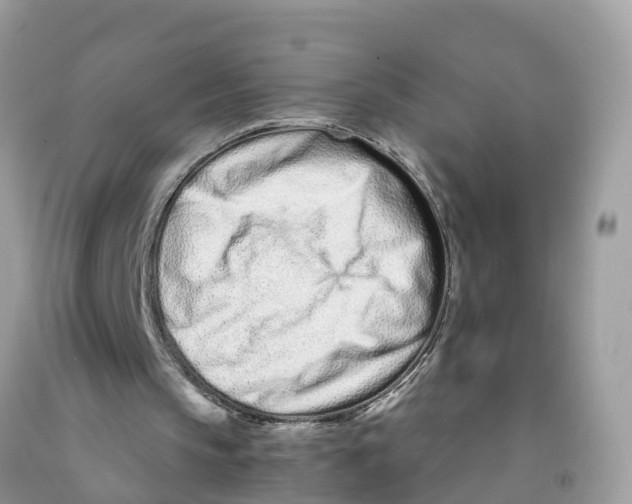 X0000091560145200709141543