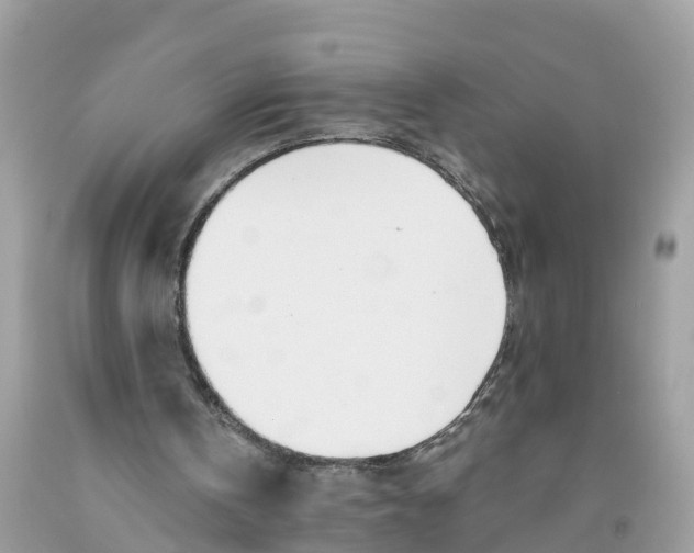 X0000091560146200709141543