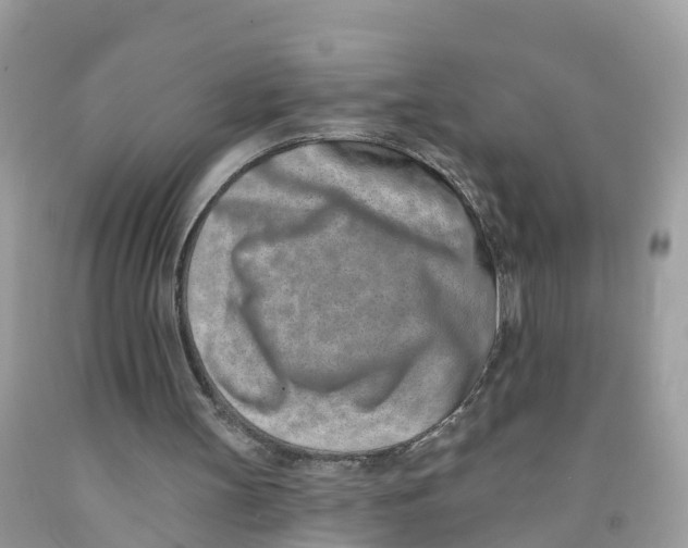 X0000091560147200709141543