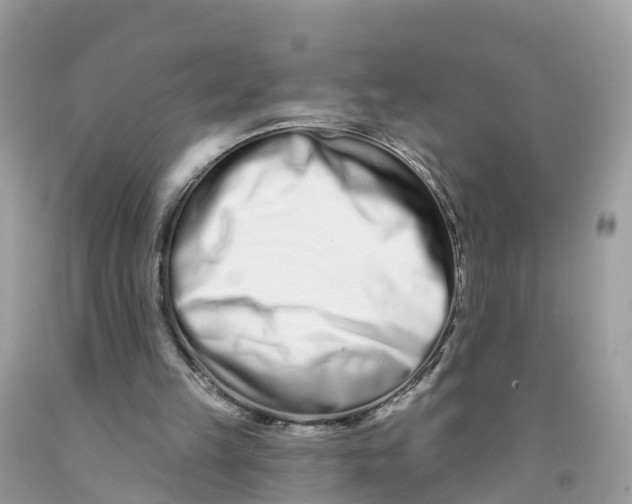 X0000091560149200709141543