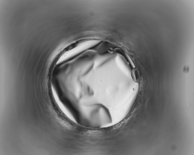 X0000091560150200709141543