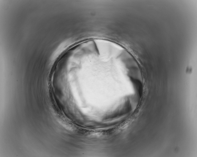 X0000091560151200709141543