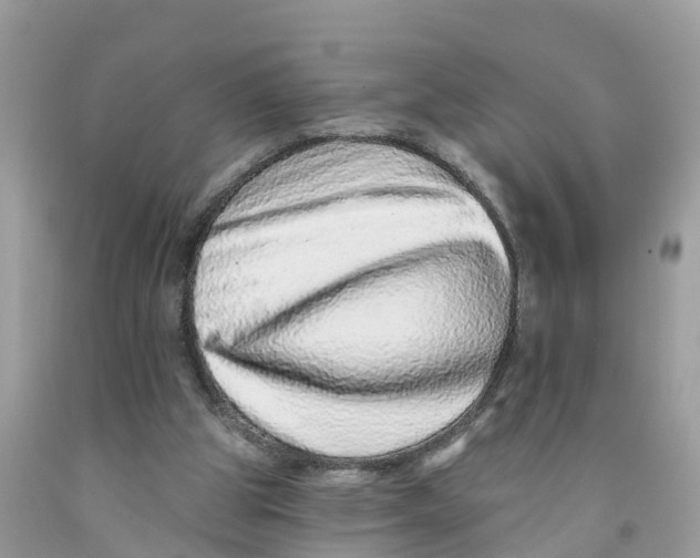 X0000091560153200709141543