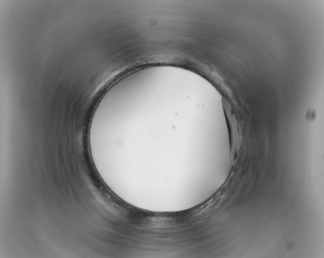 X0000091560154200709141543