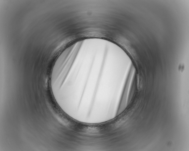 X0000091560157200709141543