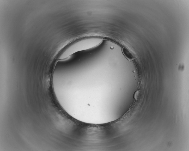 X0000091560160200709141543