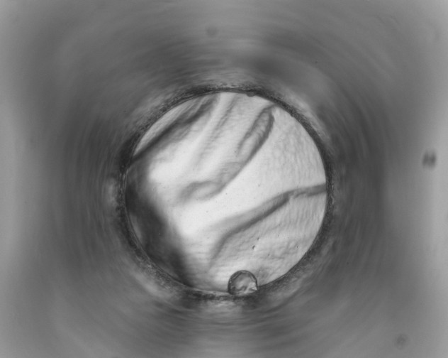 X0000091560161200709141543