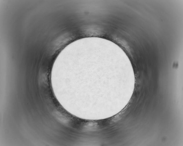 X0000091560162200709141543