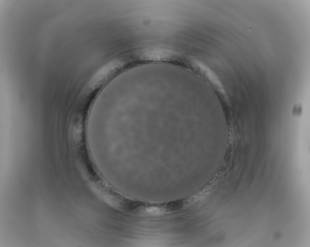 X0000091560163200709141543