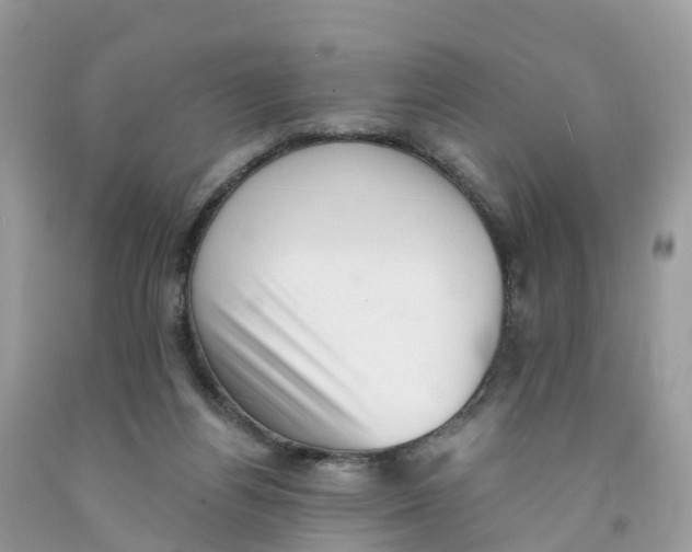 X0000091560164200709141543