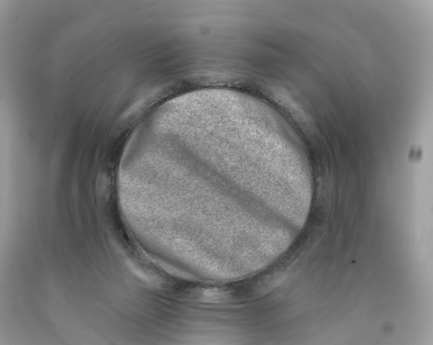 X0000091560165200709141543