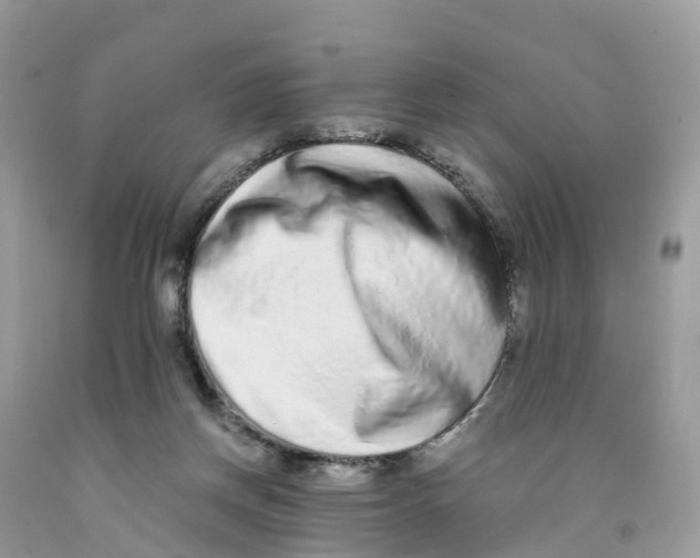 X0000091560166200709141543