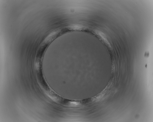 X0000091560167200709141543