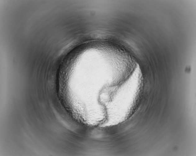 X0000091560171200709141543