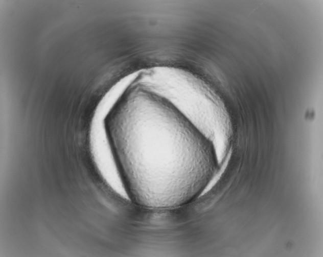 X0000091560173200709141543