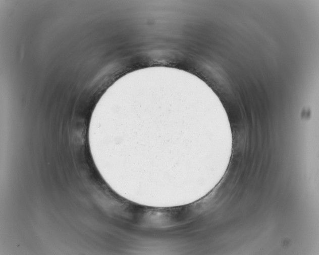 X0000091560174200709141543