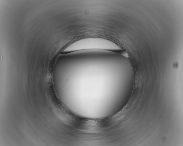 X0000091560176200709141543