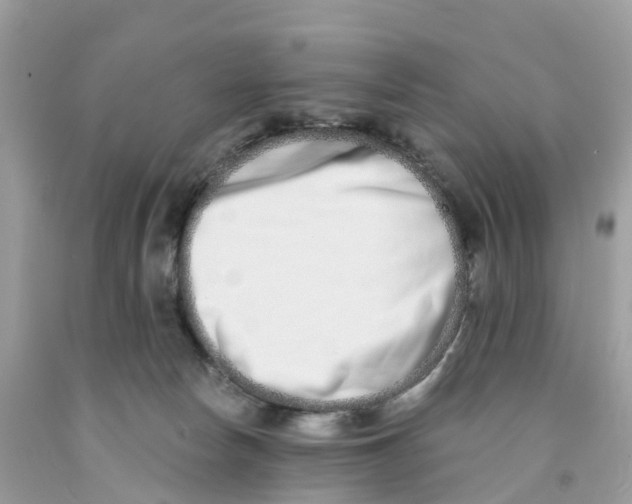 X0000091560178200709141543