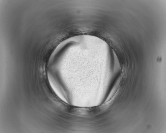 X0000091560182200709141543