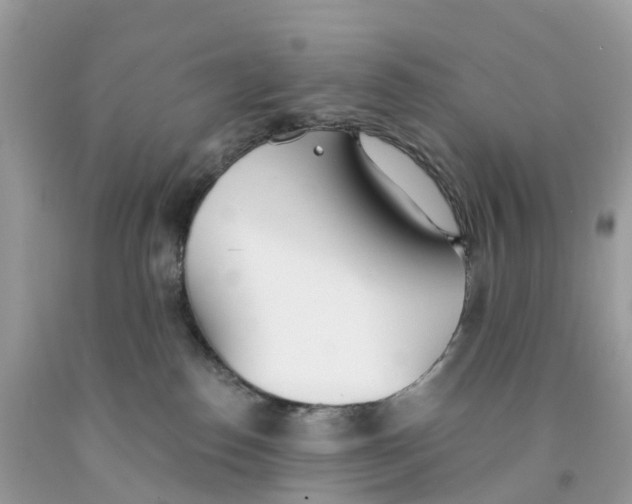 X0000091560186200709141543