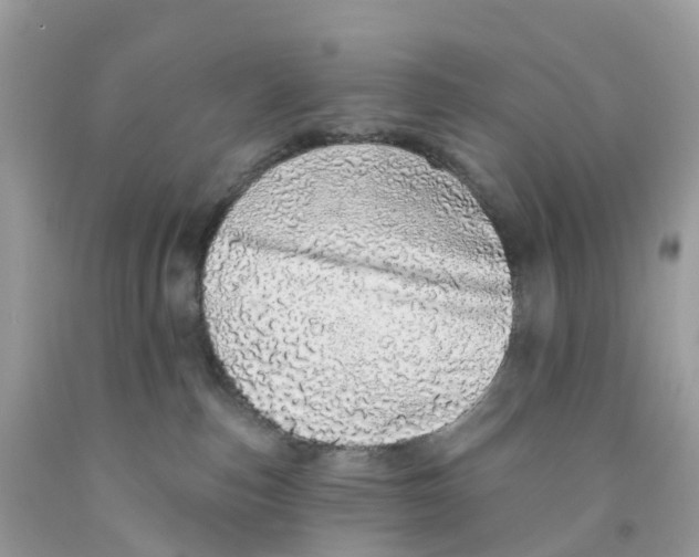 X0000091560187200709141543