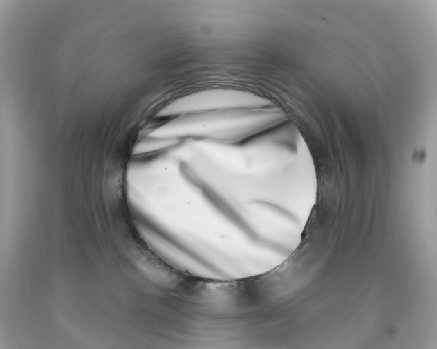 X0000091560188200709141543