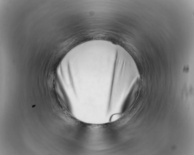 X0000091560189200709141543