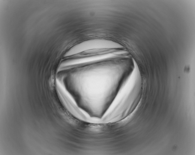 X0000091560190200709141543