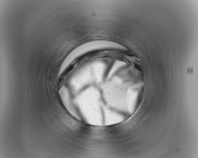 X0000091560192200709141543