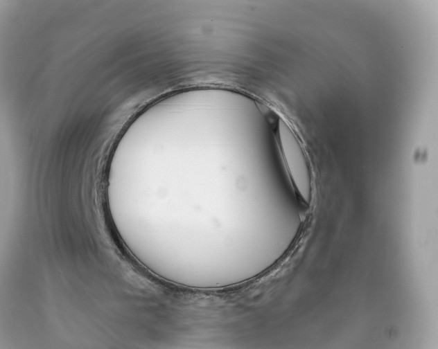 X0000091560193200709141543