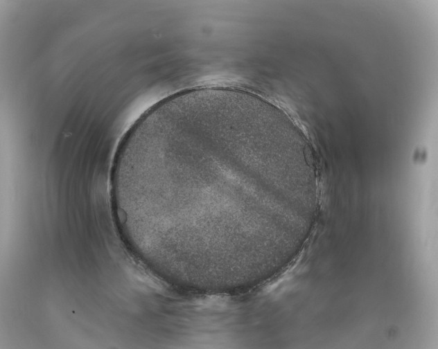 X0000091560196200709141543