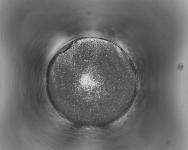 X0000091560199200709141543