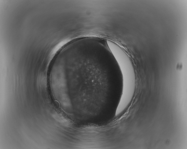 X0000091560200200709141543