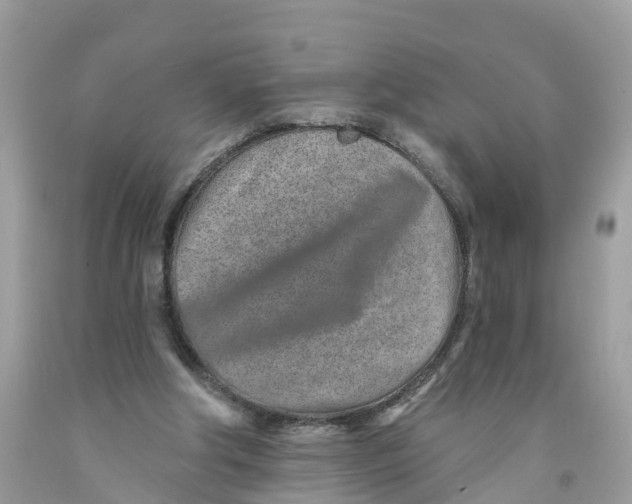 X0000091560202200709141543