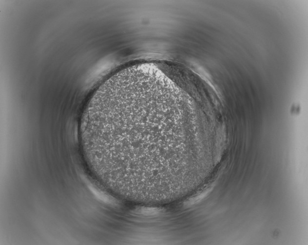 X0000091560205200709141542