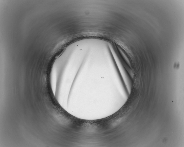 X0000091560207200709141542