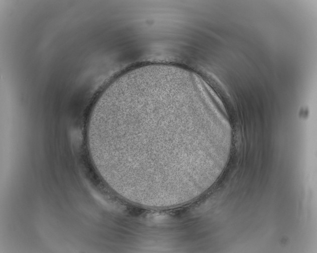 X0000091560208200709141542