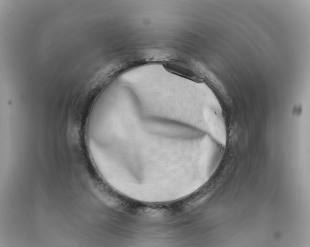 X0000091560209200709141542