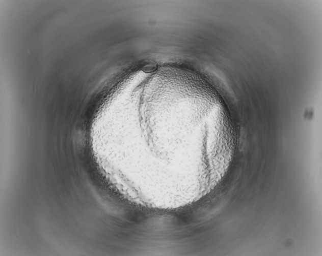 X0000091560210200709141542