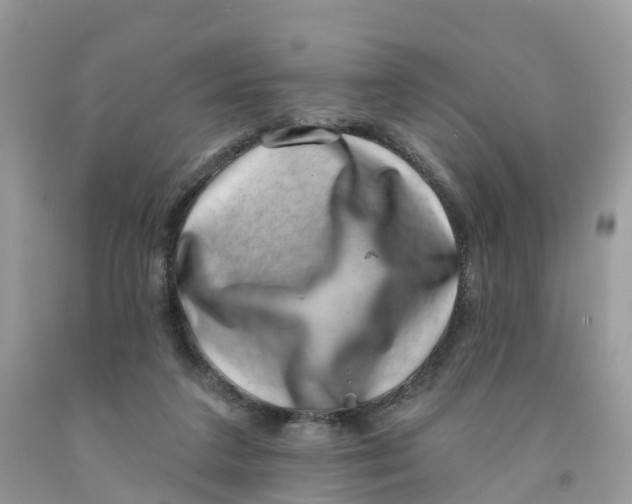 X0000091560211200709141542