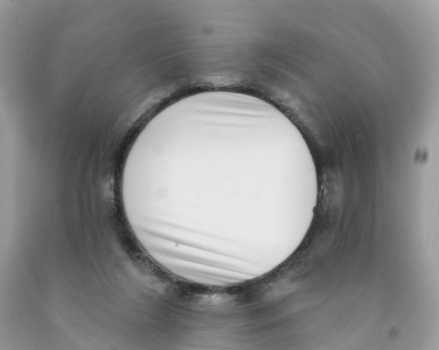 X0000091560212200709141542