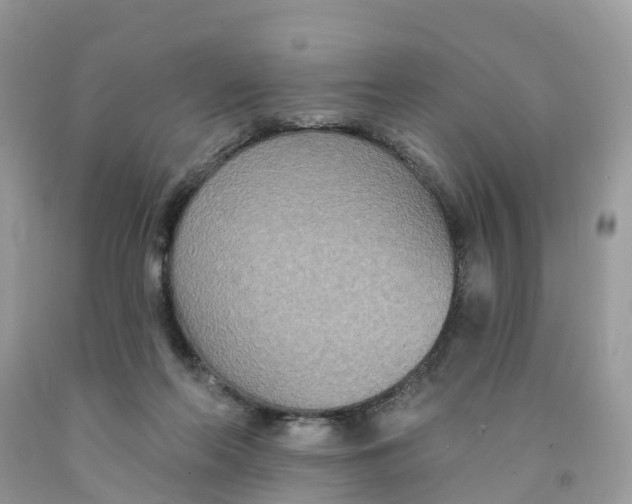 X0000091560214200709141542