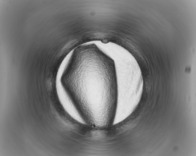 X0000091560216200709141542