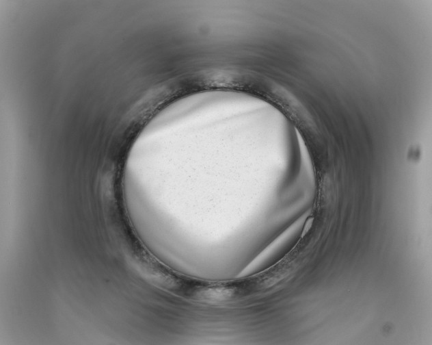 X0000091560217200709141542