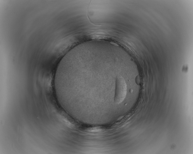 X0000091560219200709141542