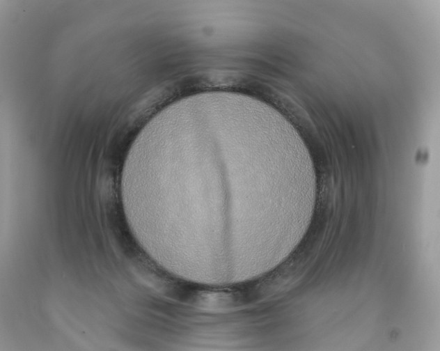 X0000091560220200709141542