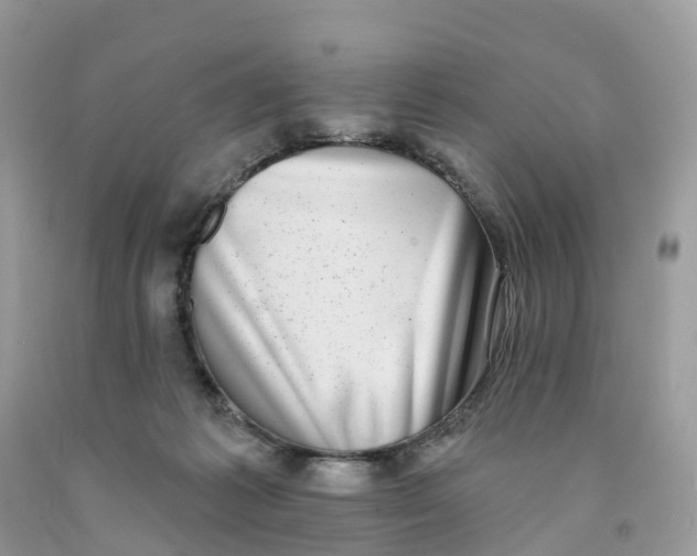 X0000091560221200709141542