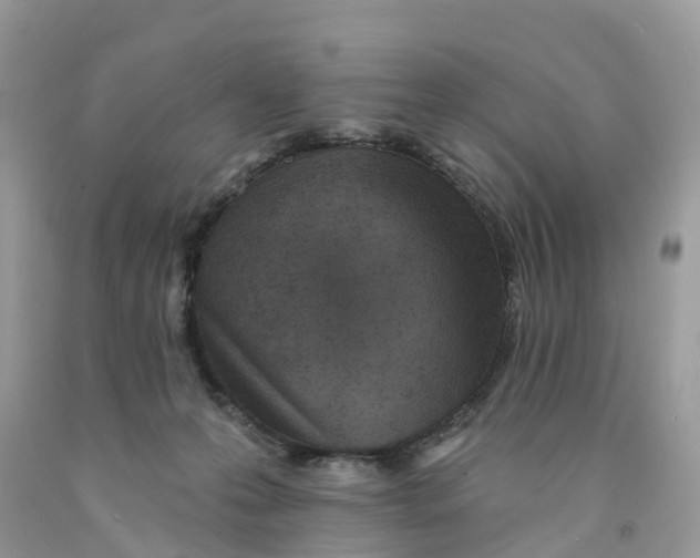 X0000091560223200709141542